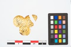 Foto von Goldzierblech (NHMW-PRAE-025251)